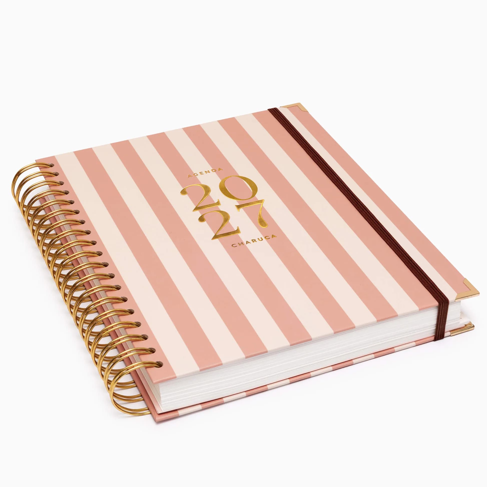 A4 Diaria Panamera Pink - 3
