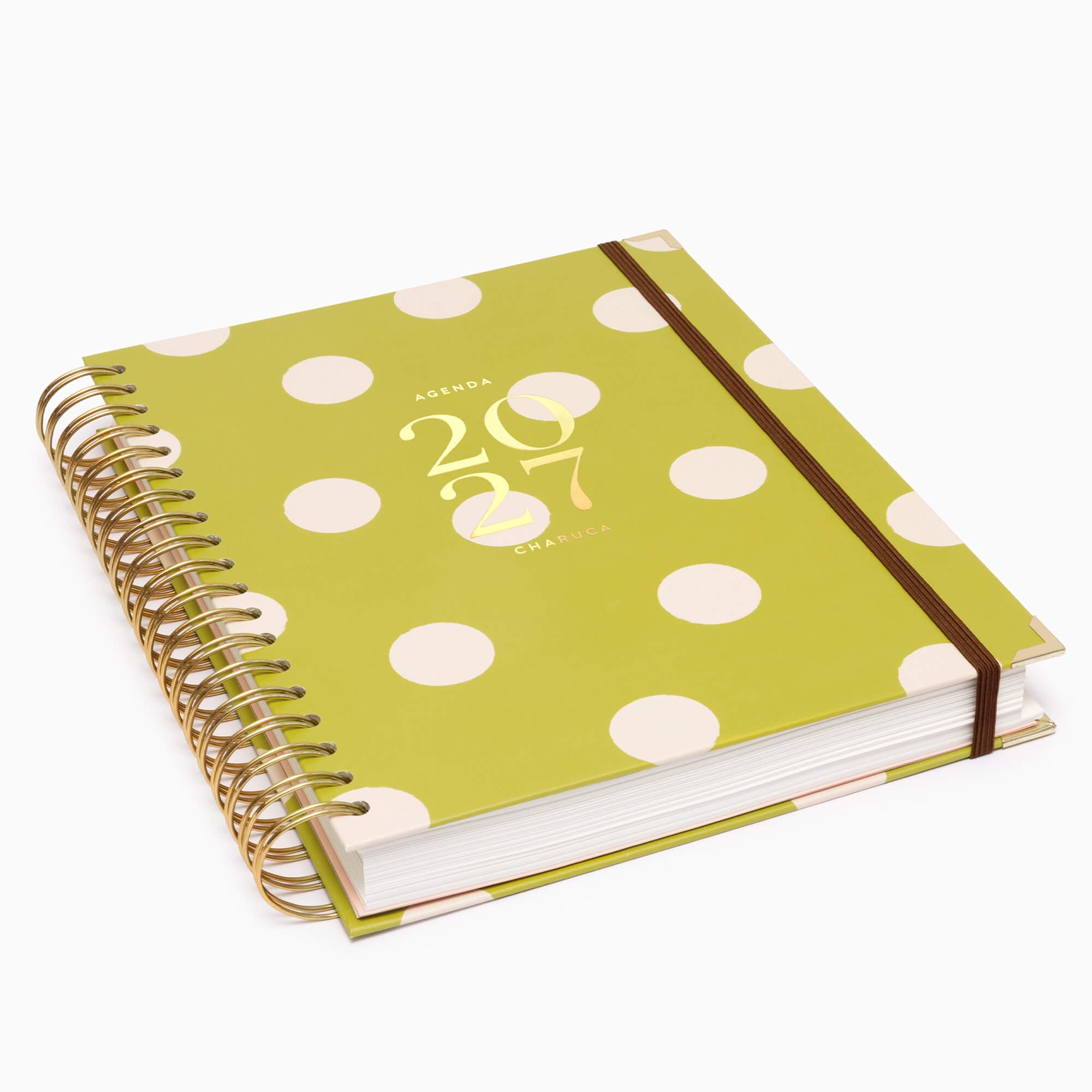 Agenda diaria 2027 Pistacho Dream grande - 3