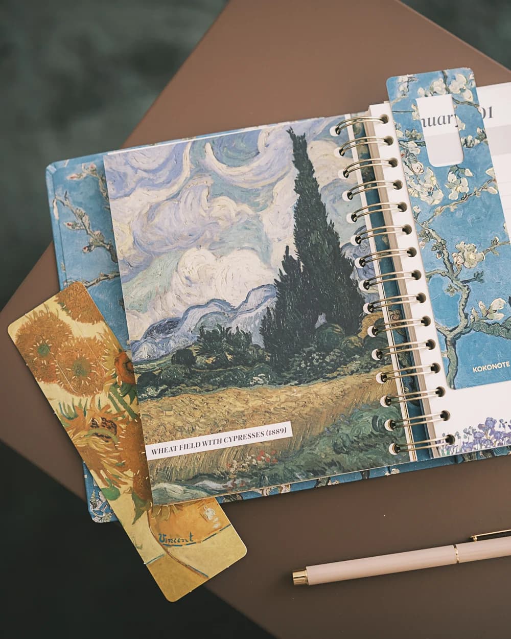 A5 Van Gogh 17 Meses - 5