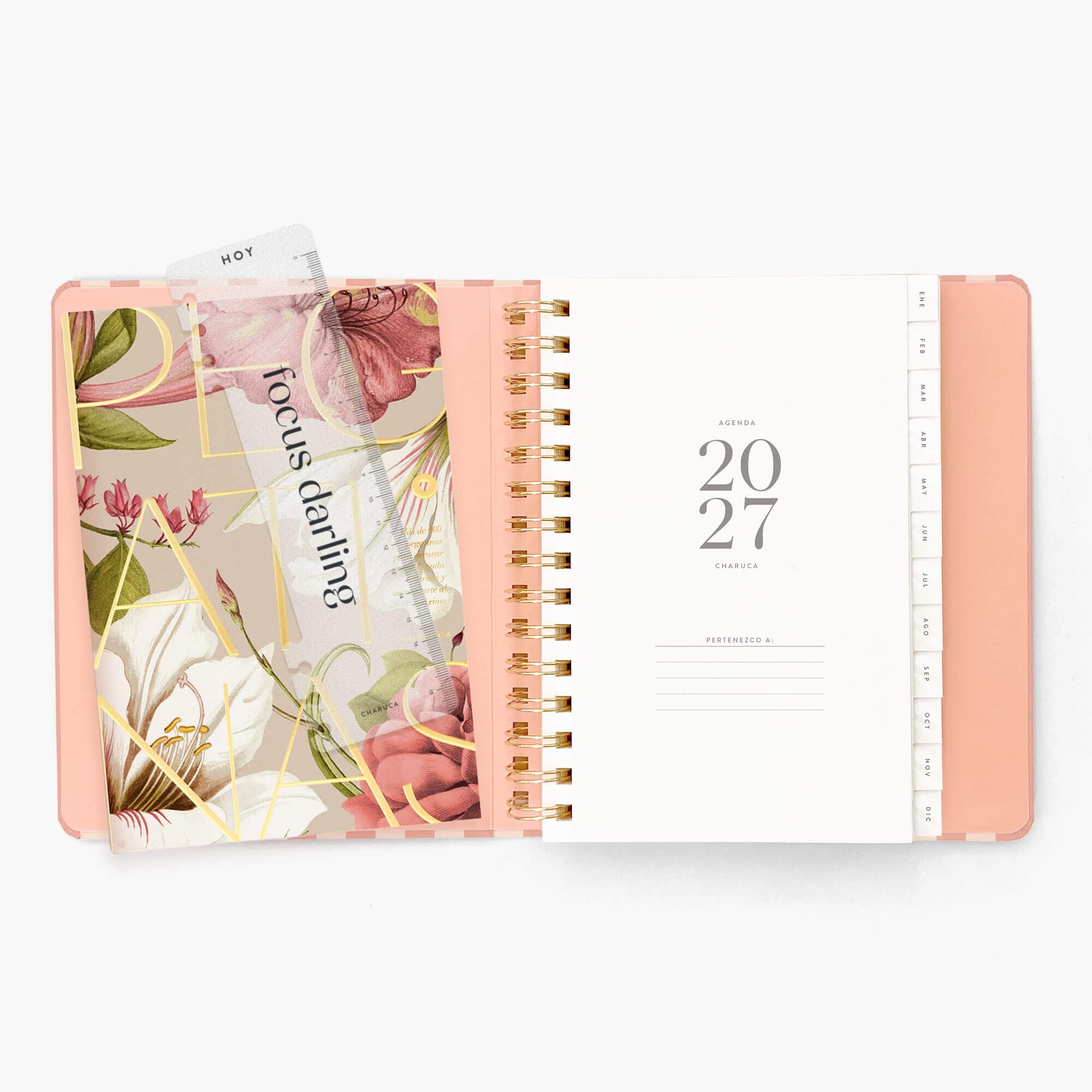 A5 Semanal Panamera Pink - 10