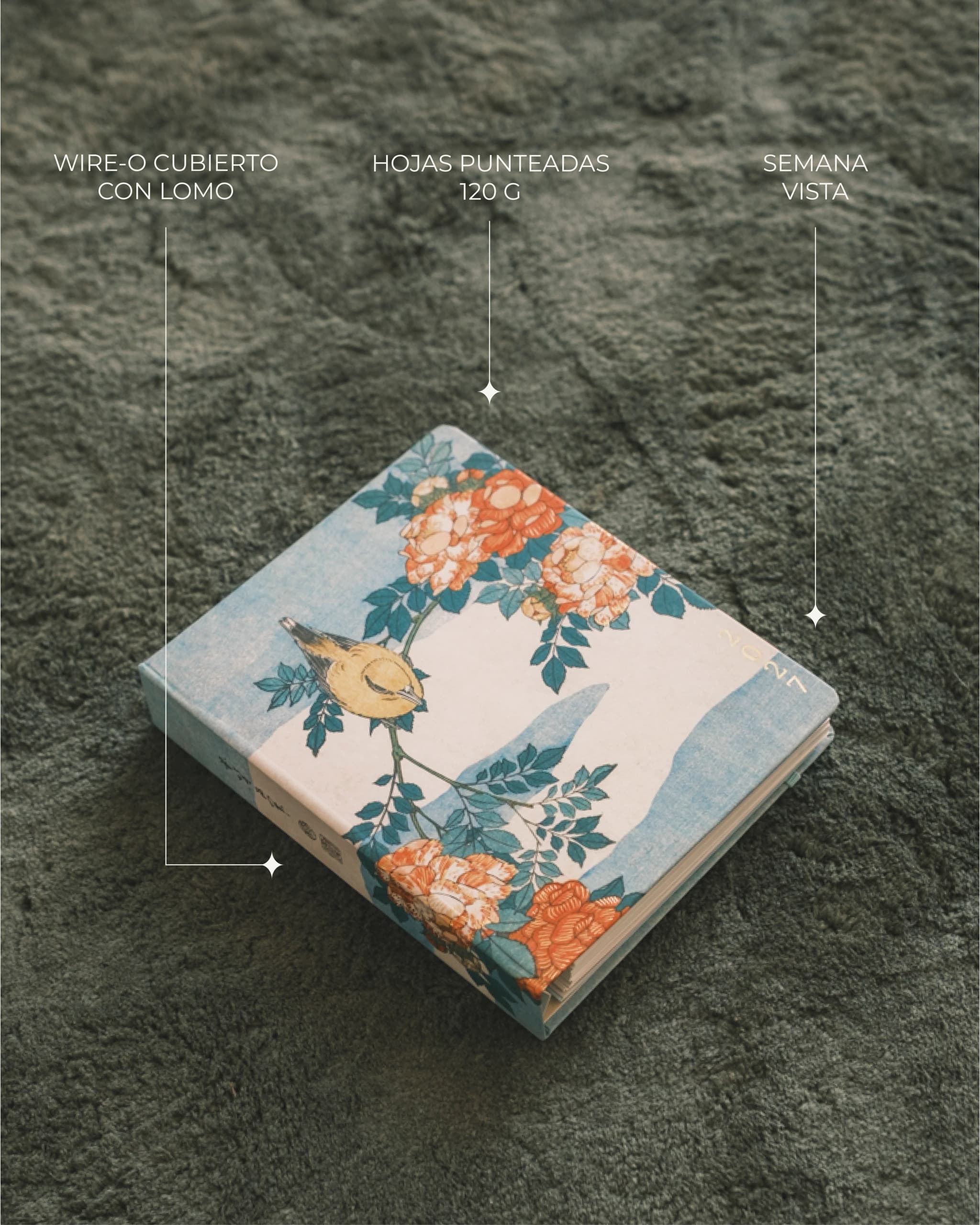 A5 Hokusai 17 Meses - 3