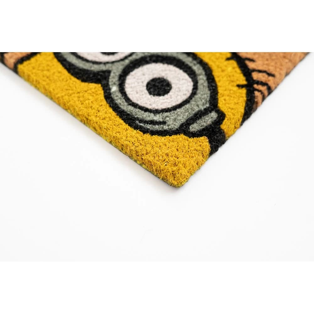 FGE0044 - minions 1.jpg