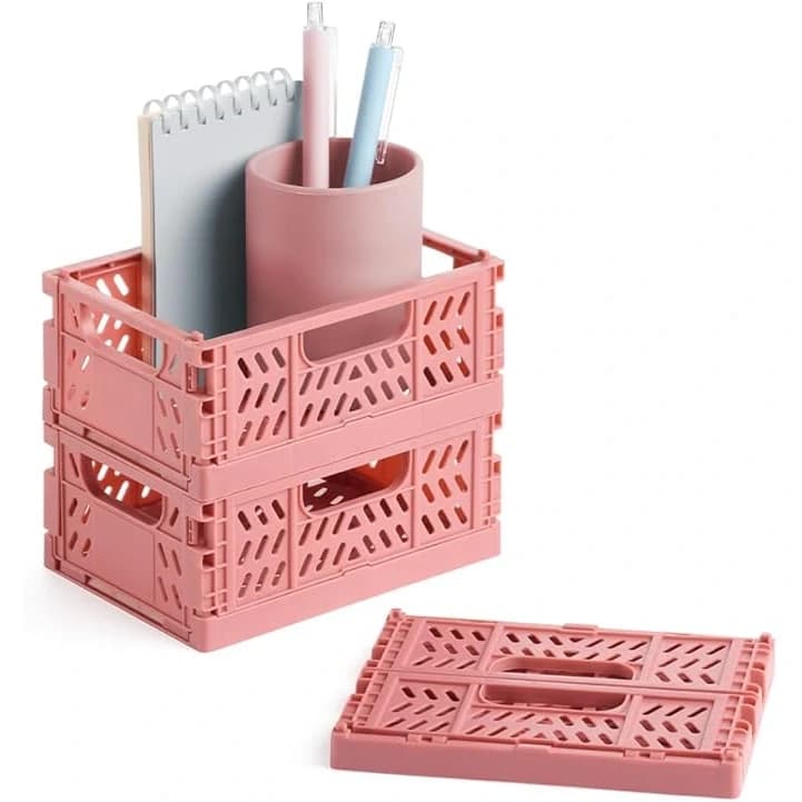 BASE CORAL 4.jpg
