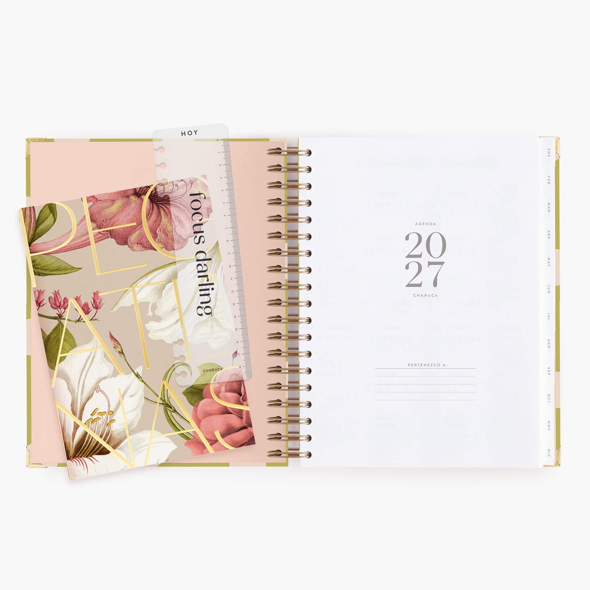 Agenda diaria 2027 Pistacho Dream grande - 10