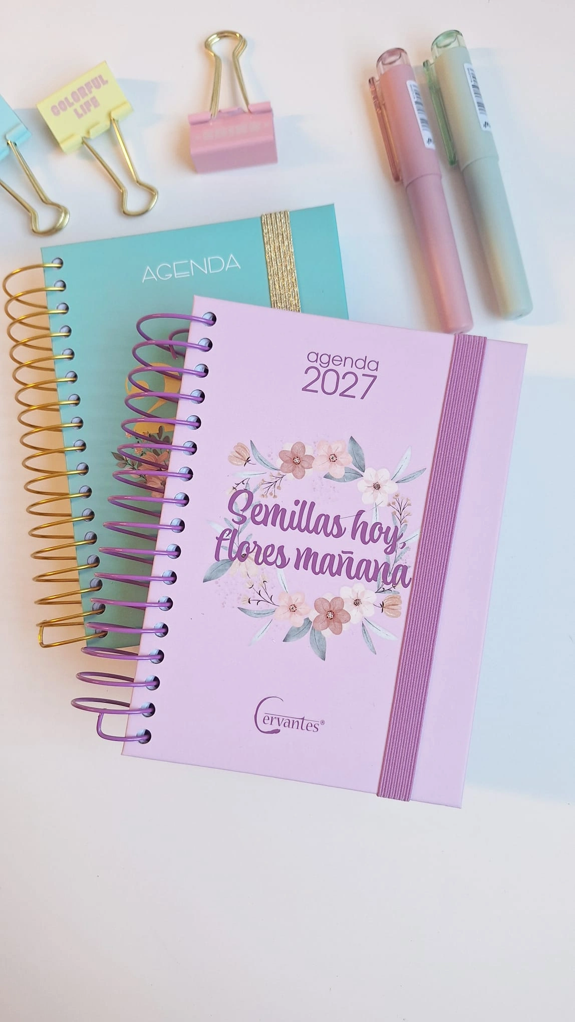 semillas-hoy-flores-manana